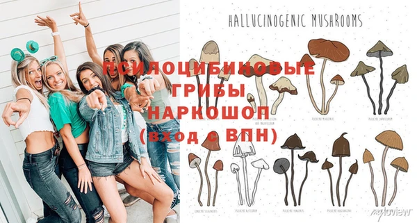 амф Алексеевка