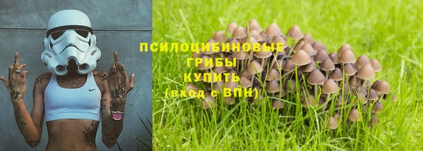 амф Алексеевка