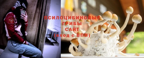 амф Алексеевка